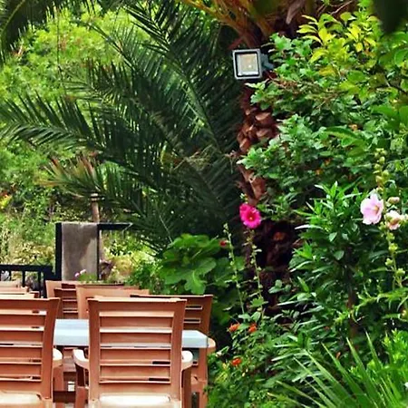 Verano 2* איסמלר