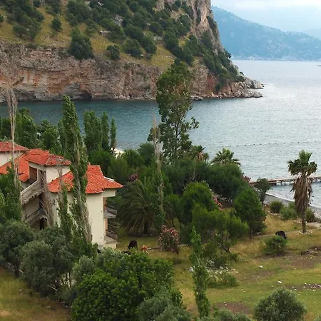 Verano